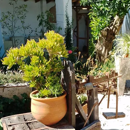 ゲストハウス Quinta Castilho