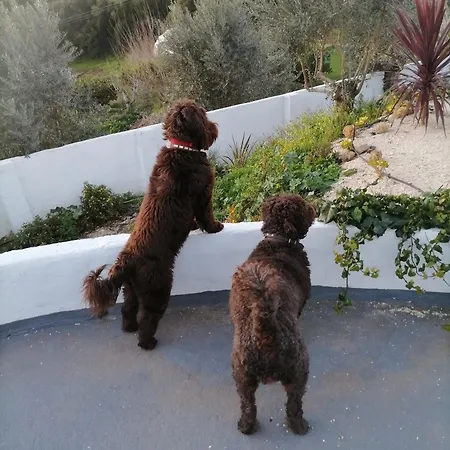 بيت ضيافة Quinta Castilho Fortes de Cima