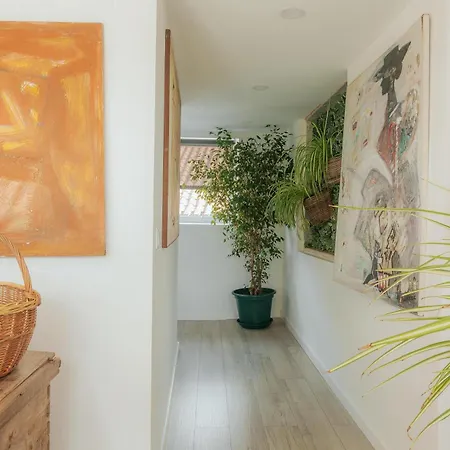 Quinta Castilho