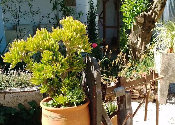 Casa de hóspedes Quinta Castilho