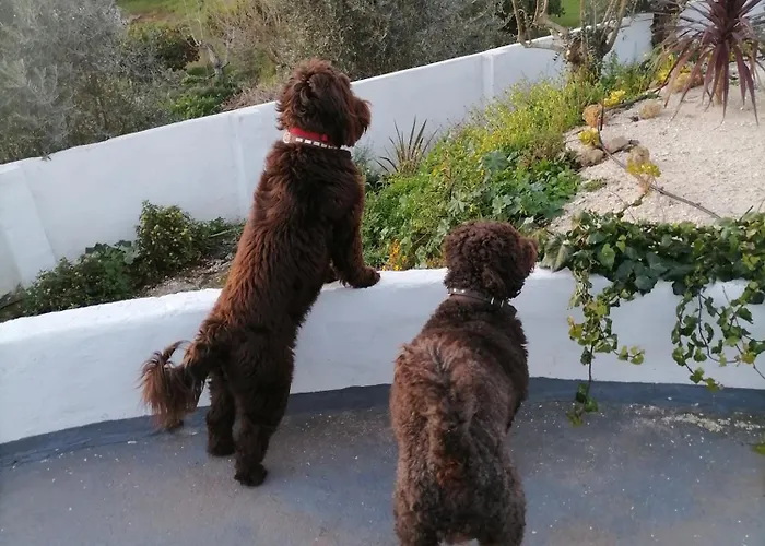 Casa de hóspedes Quinta Castilho Fortes de Cima