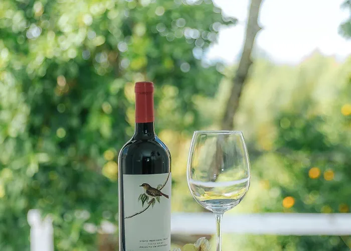 Quinta Castilho Guest house Fortes de Cima